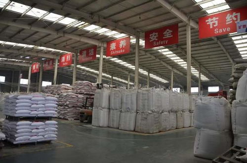 無抗時代新篇章 普愛集團教槽料研發首創客制化地坪材料的創新融合