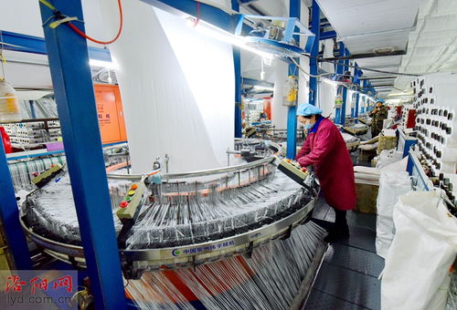 洛陽(yáng)九發(fā)實(shí)業(yè) 瞄準(zhǔn)市場(chǎng)需求促生產(chǎn)，研發(fā)環(huán)保產(chǎn)品穩(wěn)就業(yè)